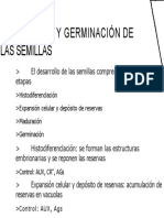 Desarrollo Y Germinación de Las Semillas