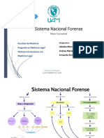 Sistema Nacional Forense Mapa Conceptual