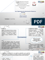 Mapa Mental Derecho Tributario