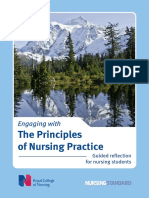 The Principles of Nursing Practice: Engaging With