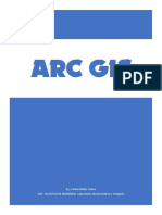 ARCGIS-registro - Descarga - Activacion