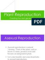 Plant Reproduction: From Asexual Cloning to Seed Germination