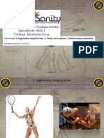 Curs 2 Anatomie PDF