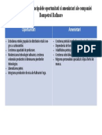 Analiza SWOT - Principalele Oportunitati Si Amenintari