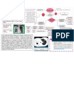 Caso N°5 PDF