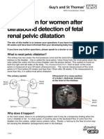 Fetal Renal Pelvic Dilatation