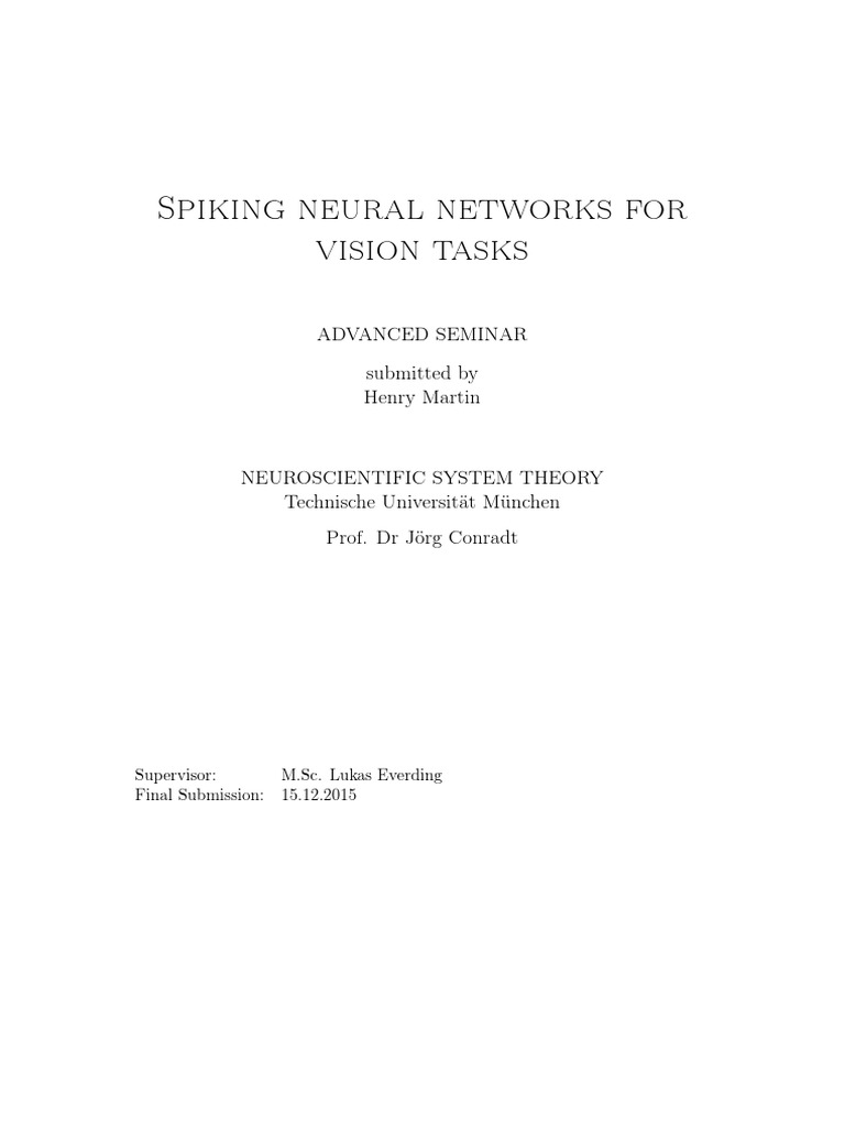 Spiking Neural Networks in Vision Tasks | PDF | Artificial Neural ...