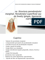 Structura parodonţiului marginal.