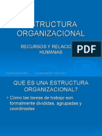 Estructura Organizacional