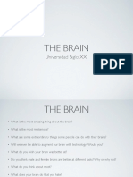 The Brain: Universidad Siglo XXI