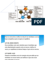 Leyes de Acupuntura