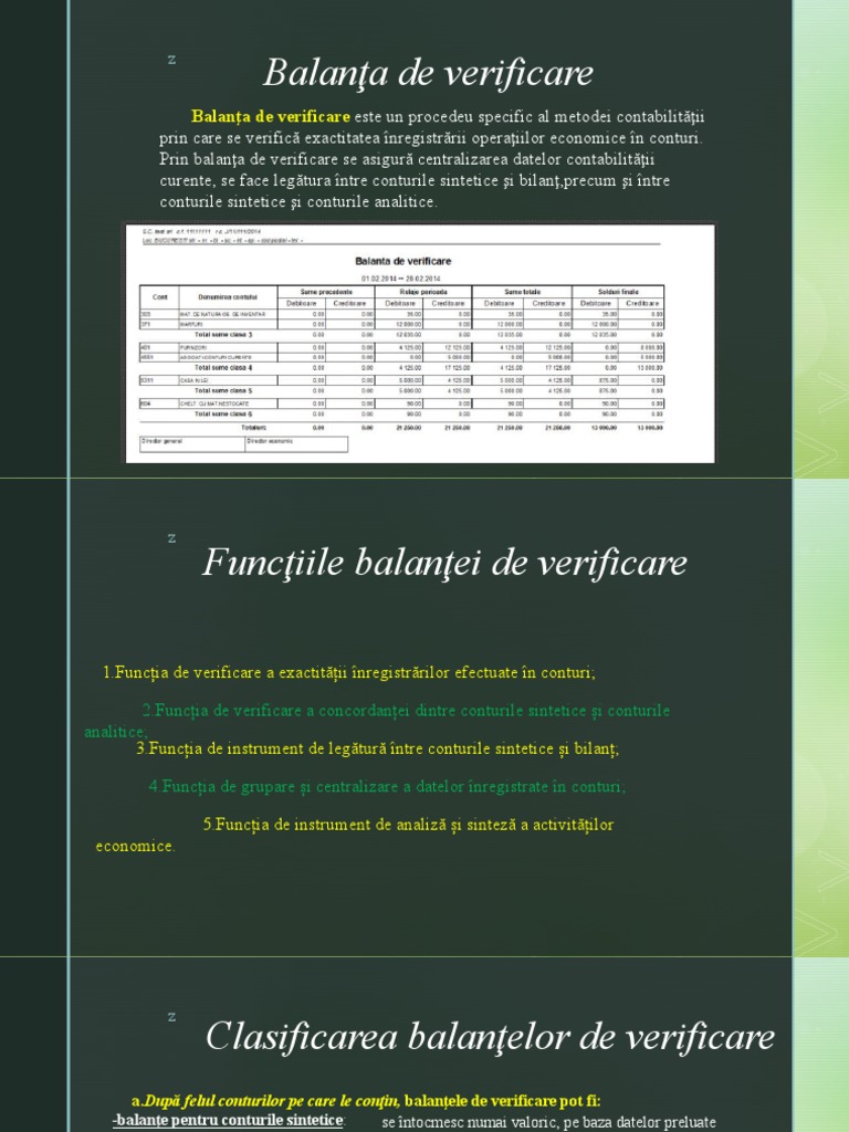 Balanta de Verificare | PDF