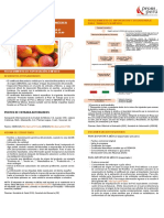 Mexico Cartilla Exportacion Mango 07072016 PDF