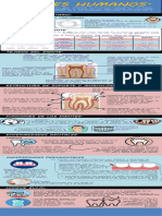 Los Dientes Infografia