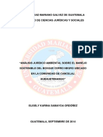 Forestal Tesis PDF