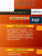 Cambios Post-Mortem 5