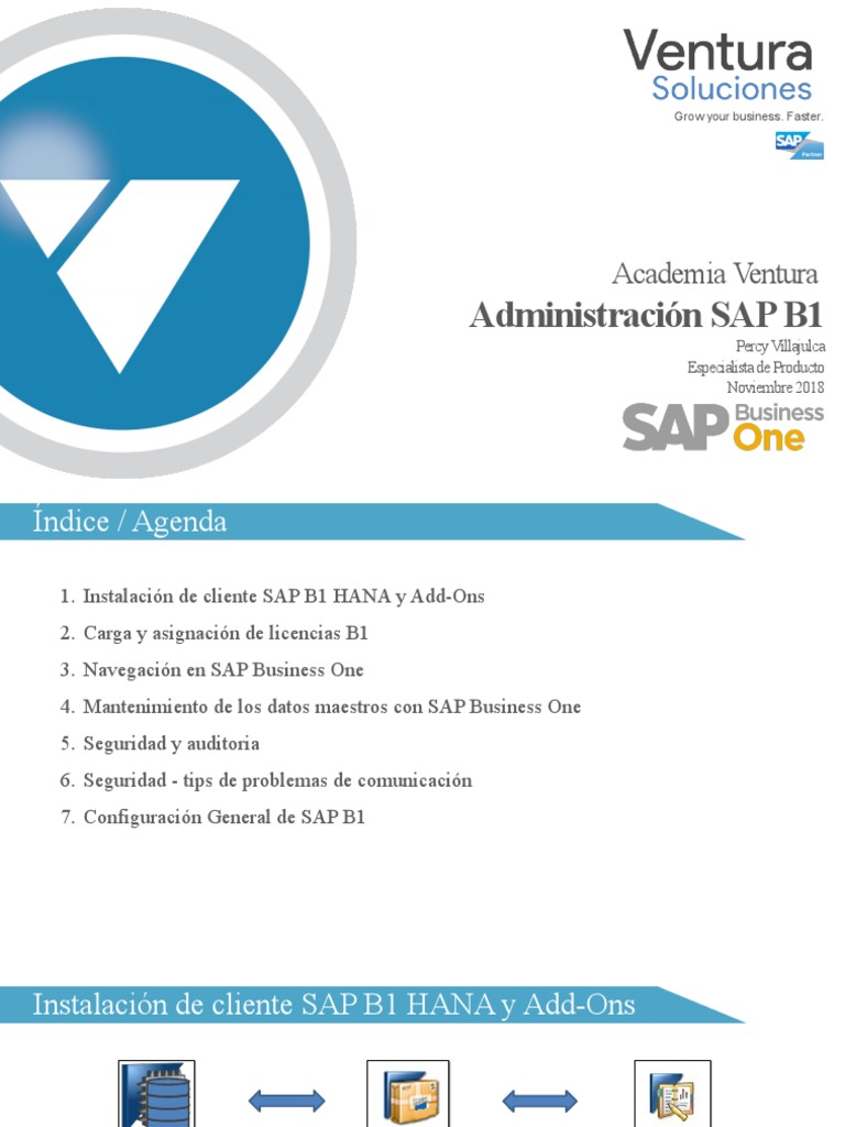 SAP B1 HANA Administración SAP B1 PDF