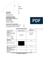 Formato de Informe Adulto - 2