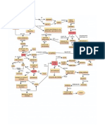 Mapa de La Razonabilidad