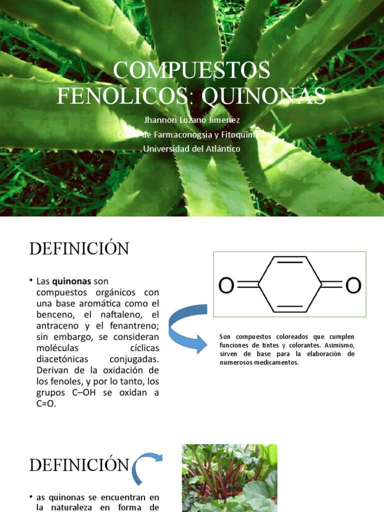 Quinonas: Funciones y Usos en Plantas | PDF | Metabolismo | Bioquímica