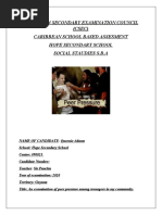 Sba Sample - Csec Math | PDF | Questionnaire | Chart