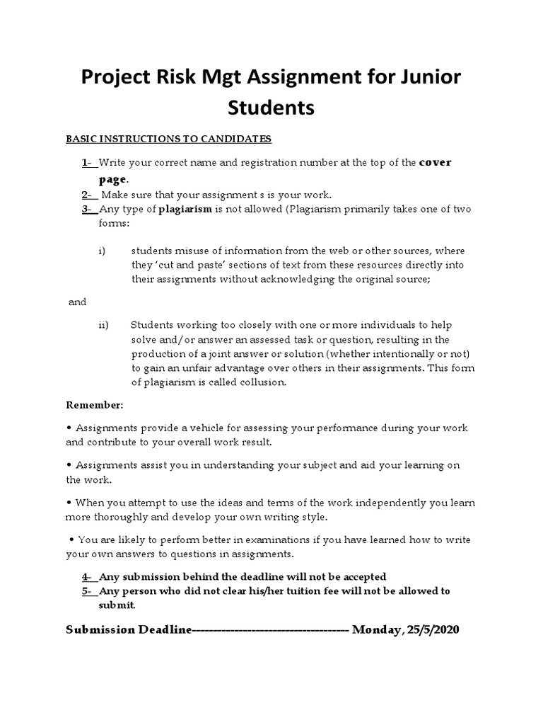 Project Risk Management Assignment | PDF | Risk | Risk Management