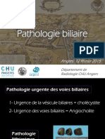 Pathologie biliaire