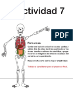 Insttarea PDF