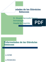 Enfermedades de Las Glándulas Sebáceas