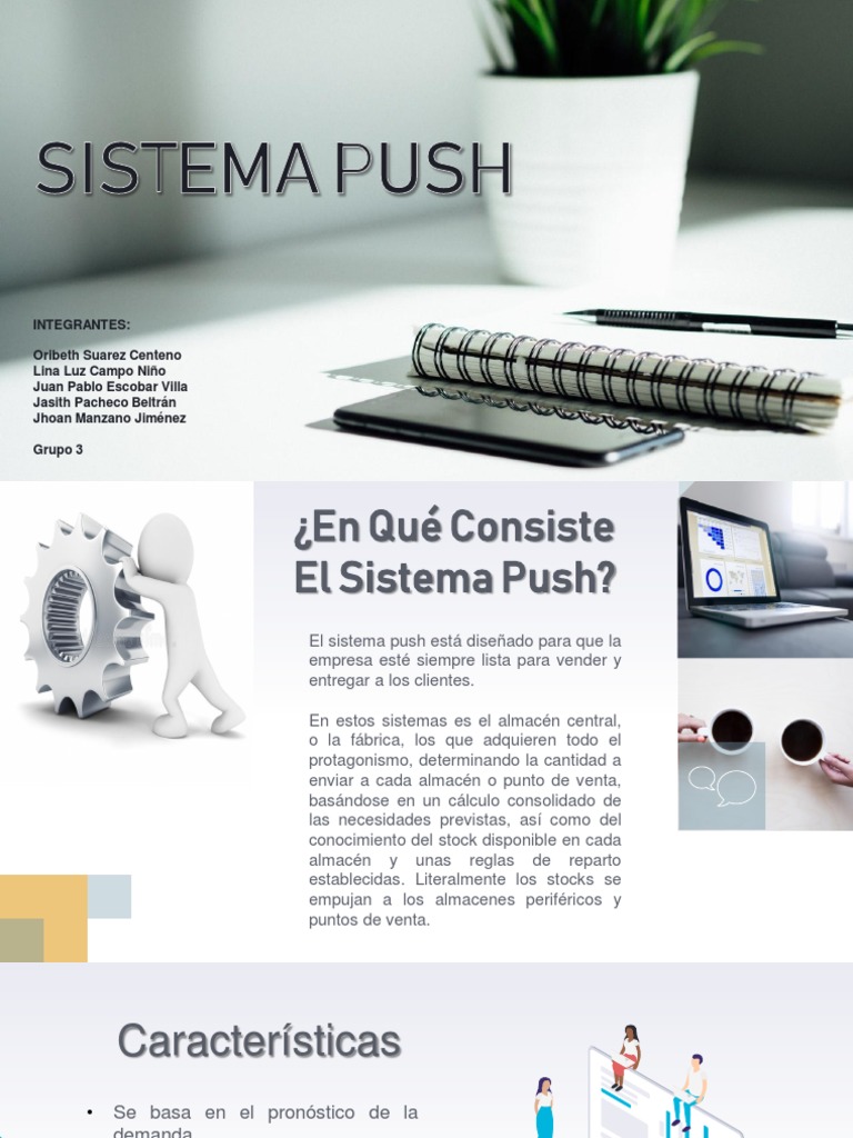 Sistema Push: Definición y Ejemplos | PDF | Business | Economias
