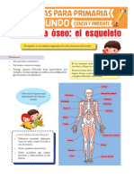 El-Esqueleto-Humano-para-Segundo-de-Primaria.pdf