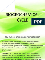 Biogeochemical Cycle