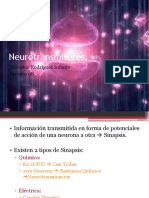 Neurotransmisores 2