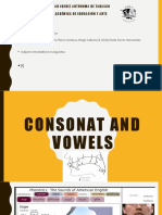 consonant and vowels