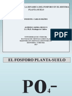 Presentación de trabajo de FOSFORO Y CALCIOpptx.pptx