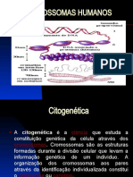 CROMOSSOMAS AULA I Citogenética