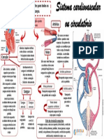 Mapa-mental-Sistema-cardiovascular-ou-circulatório