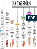Mapa Mental Sistema Digestório