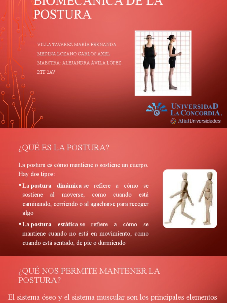 Biomecánica de la Postura Corporal | PDF | La columna vertebral ...