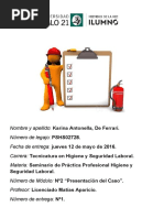 Entrega 1 - Seminario de Practica Profesional