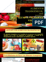 Alimentos-Transgenicos-VELASQUEZ