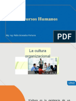 Cultura Organizacional