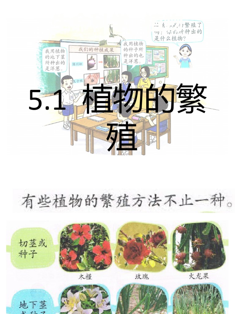5 1植物的繁殖