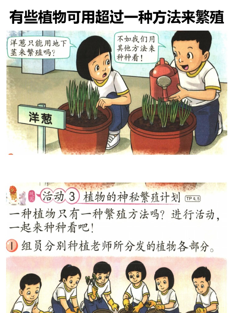 3植物可用超过一种方法来繁殖