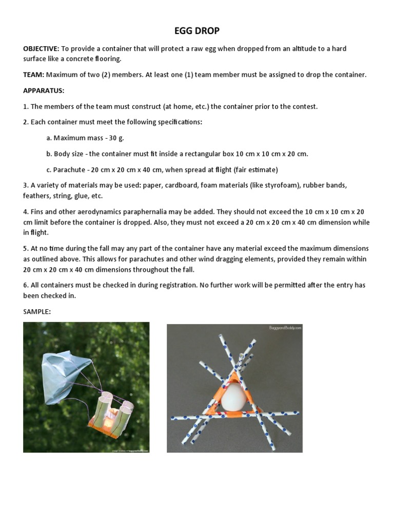 Egg Drop: OBJECTIVE: To Provide A Container That Will Protect A Raw Egg ...
