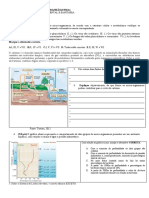 Avaliação Micro Ambiental