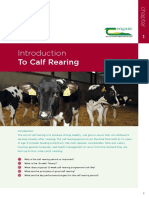 To Calf Rearing: Section 1