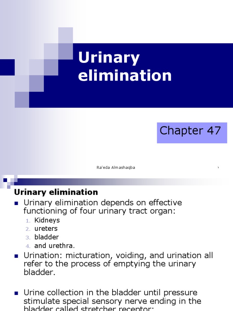 Urinary Elimination: Nursing Fundamentals | PDF | Urinary Incontinence ...