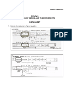 GENETICS Operon Worksheet