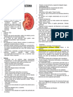 Histología Del Sistema Urinario PDF